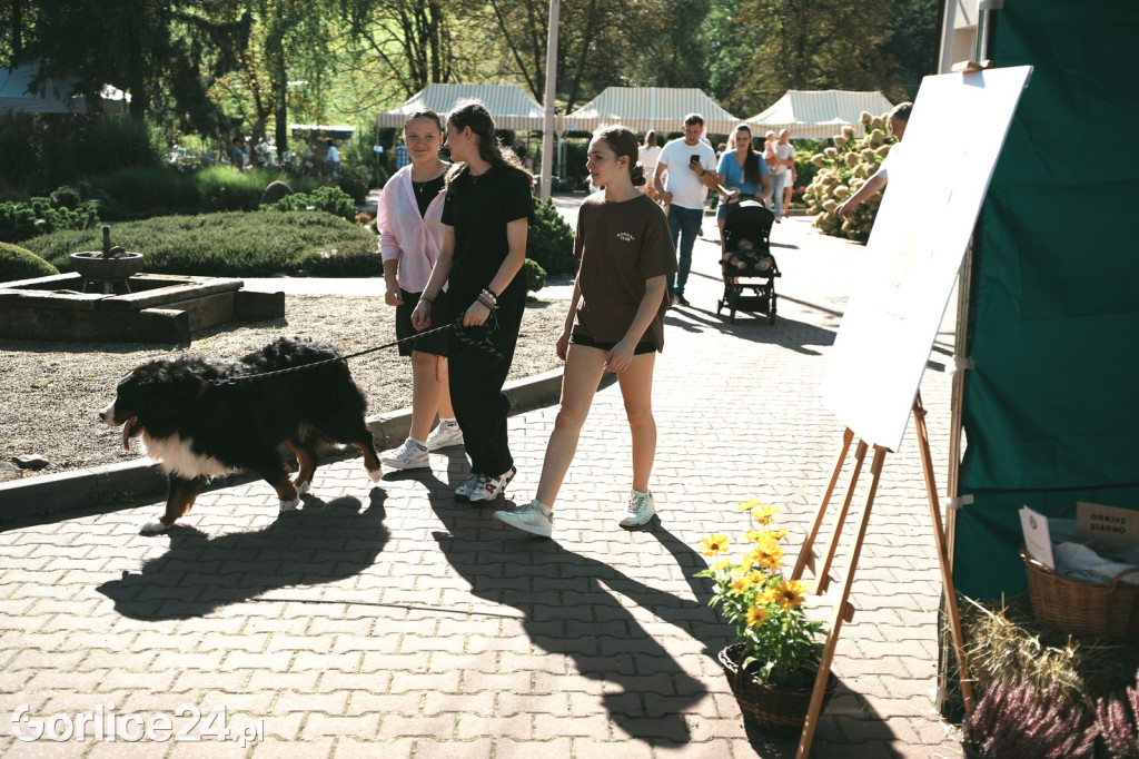 Agro Gorlice 2025 w Bystrej - sobota (20.09.)