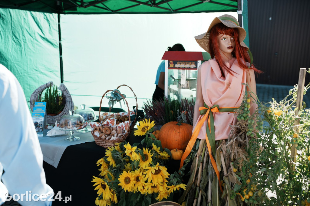 Agro Gorlice 2025 w Bystrej - sobota (20.09.)