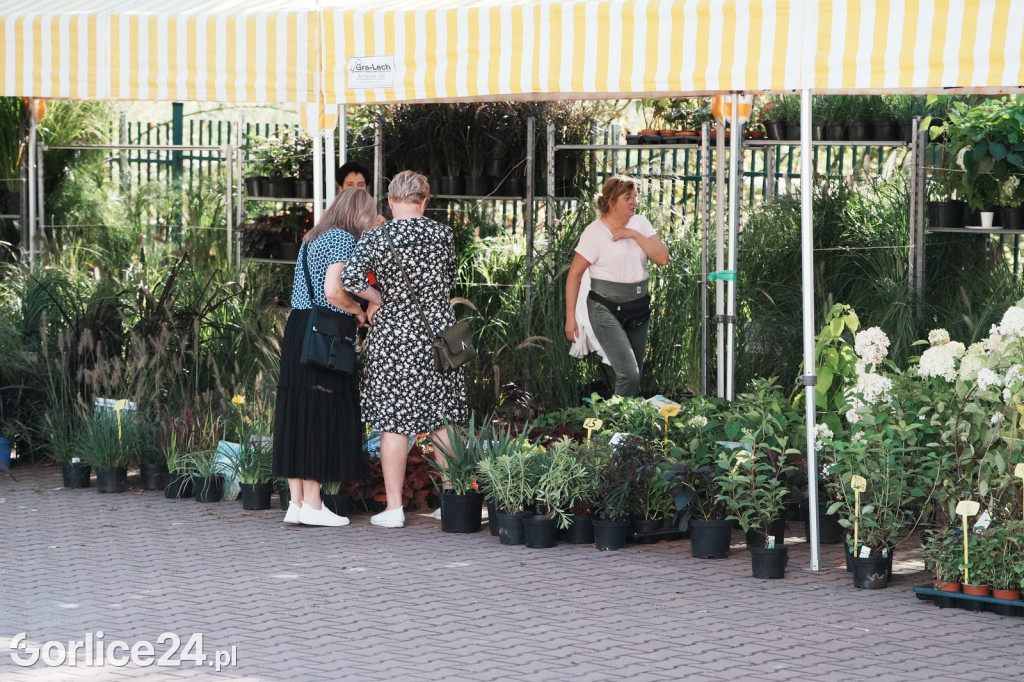 Agro Gorlice 2025 w Bystrej - sobota (20.09.)