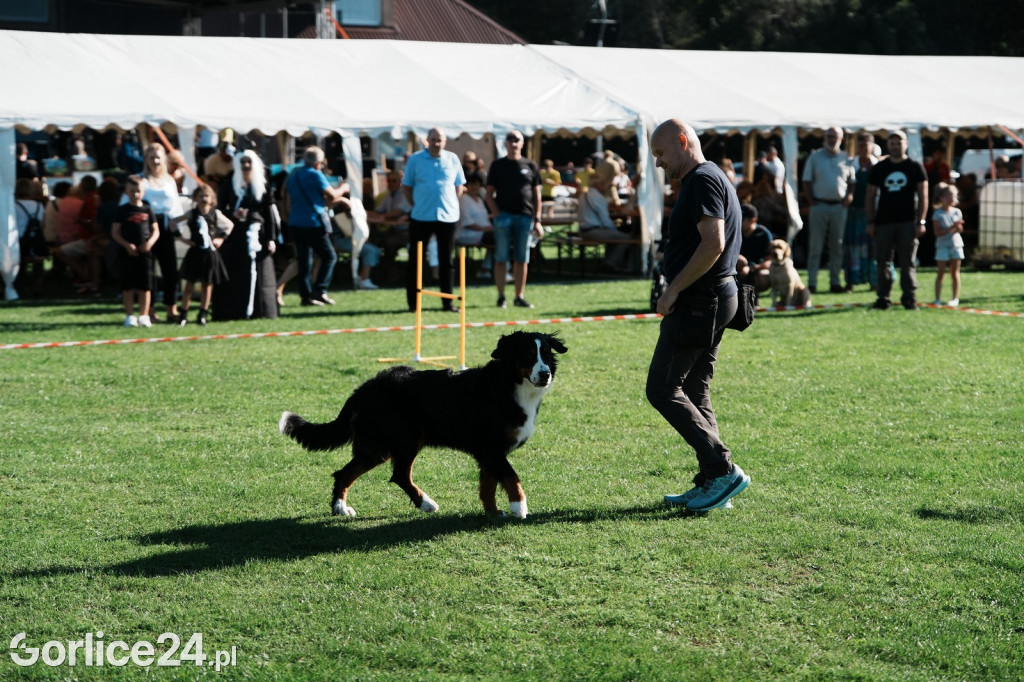 Piknik charytatywny dla Nikoli Woźniak - Sękowa (20.09.)