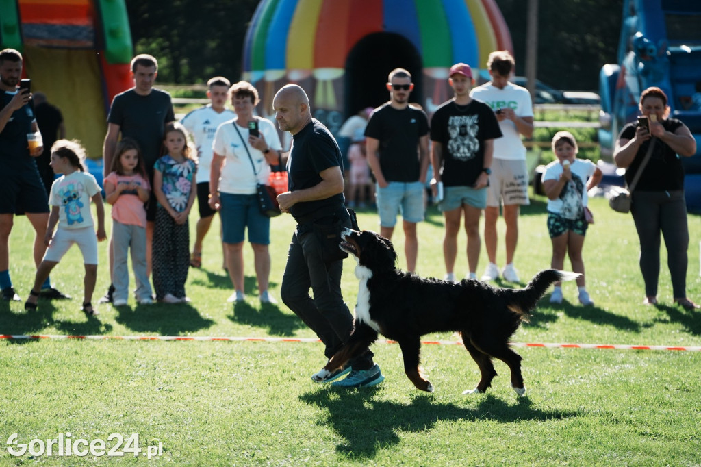 Piknik charytatywny dla Nikoli Woźniak - Sękowa (20.09.)