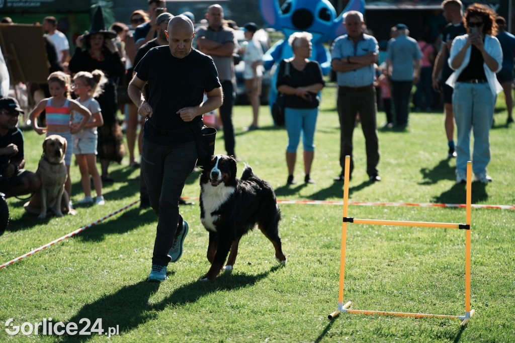 Piknik charytatywny dla Nikoli Woźniak - Sękowa (20.09.)