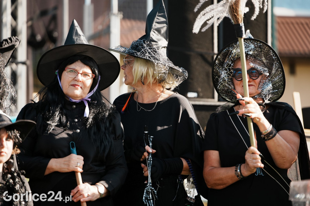 Piknik charytatywny dla Nikoli Woźniak - Sękowa (20.09.)
