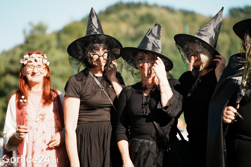 Piknik charytatywny dla Nikoli Woźniak - Sękowa (20.09.)