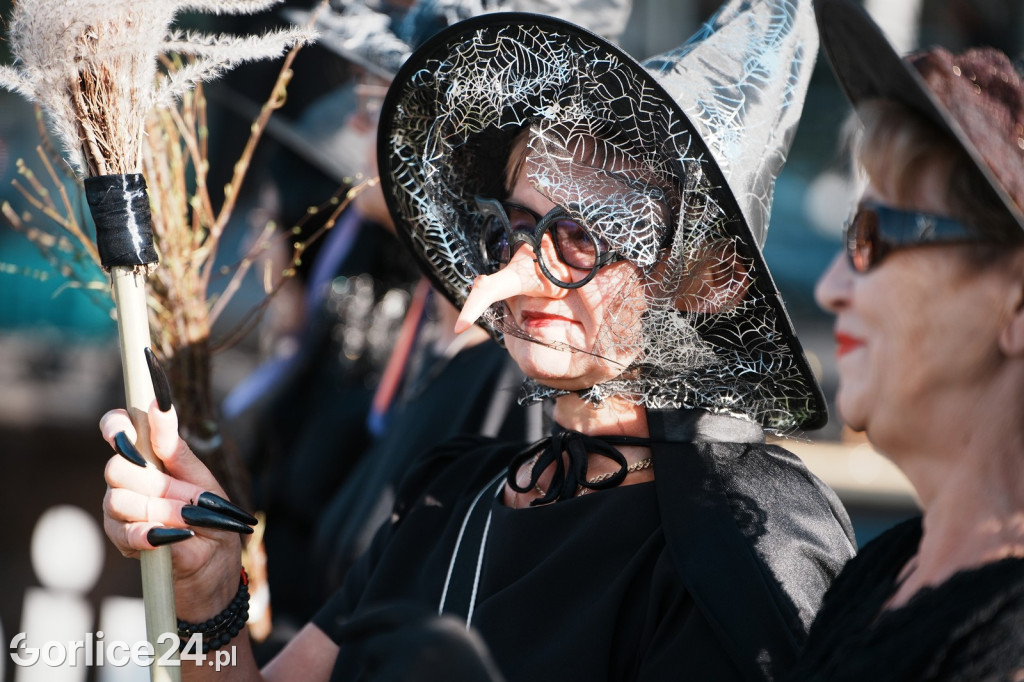 Piknik charytatywny dla Nikoli Woźniak - Sękowa (20.09.)
