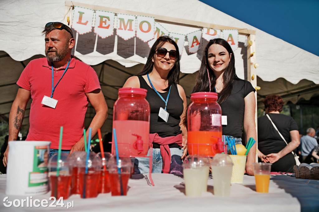 Piknik charytatywny dla Nikoli Woźniak - Sękowa (20.09.)