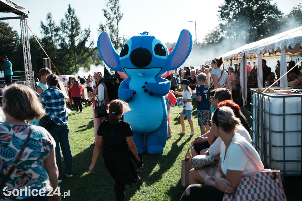 Piknik charytatywny dla Nikoli Woźniak - Sękowa (20.09.)