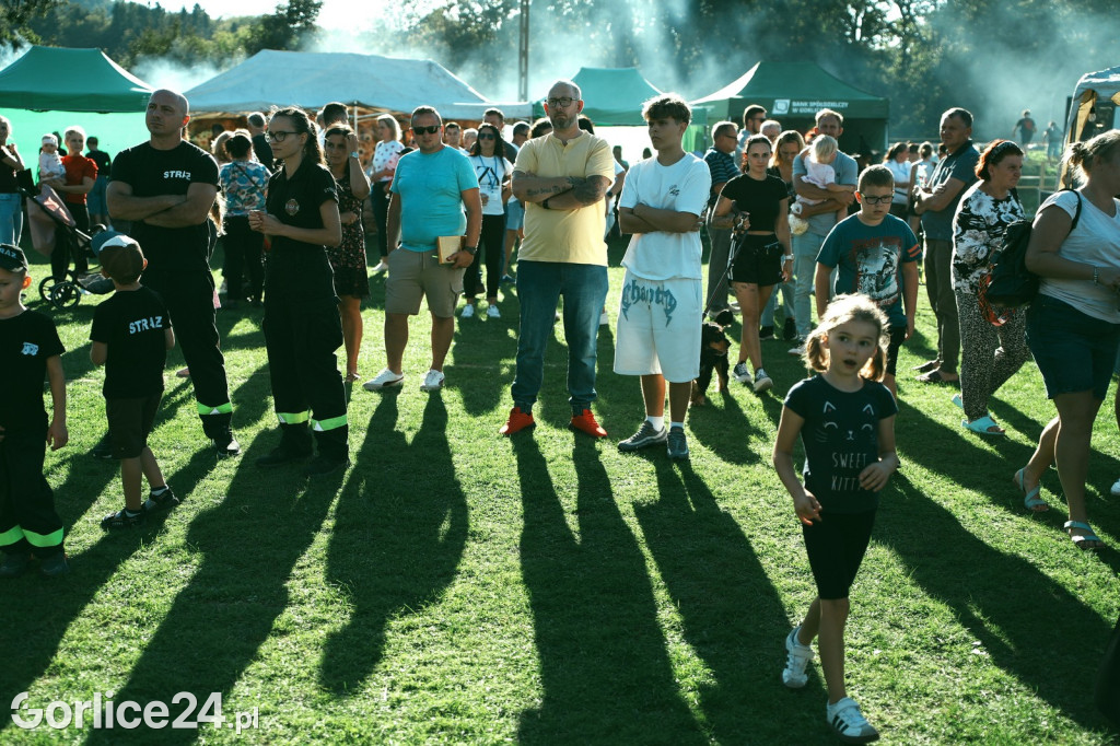 Piknik charytatywny dla Nikoli Woźniak - Sękowa (20.09.)