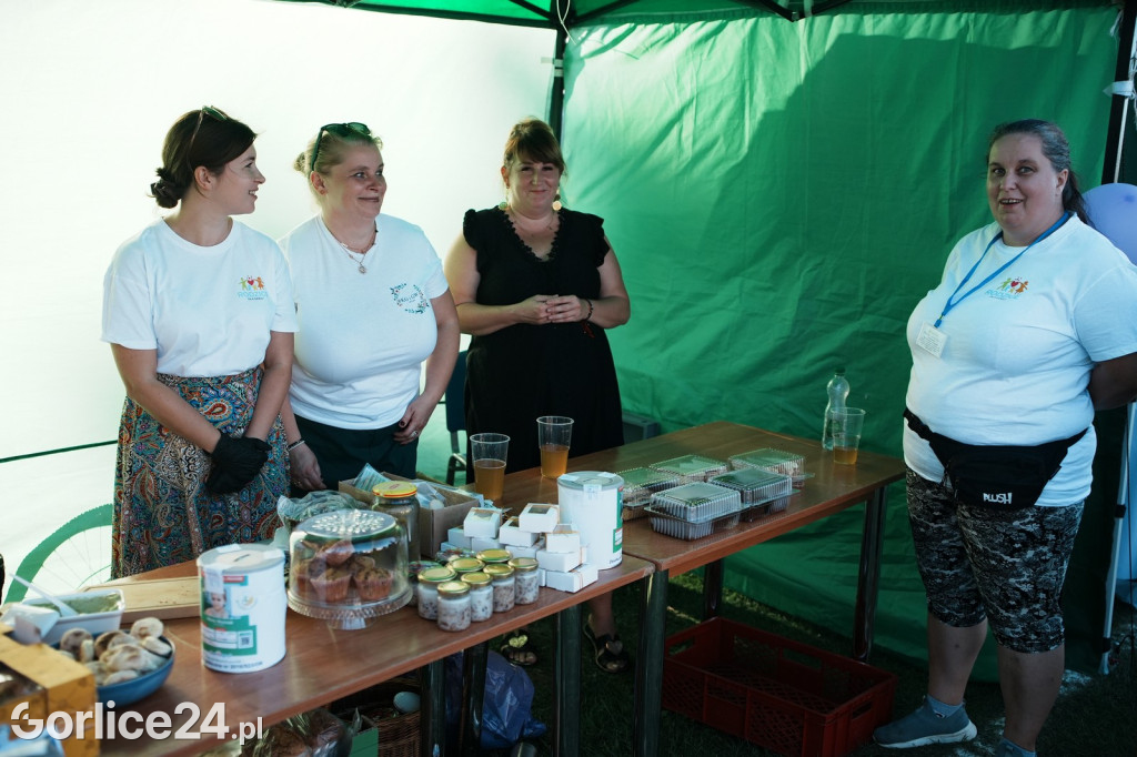 Piknik charytatywny dla Nikoli Woźniak - Sękowa (20.09.)