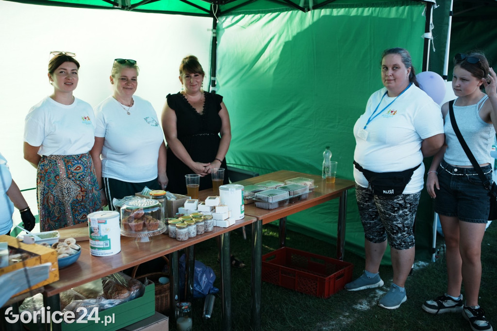 Piknik charytatywny dla Nikoli Woźniak - Sękowa (20.09.)