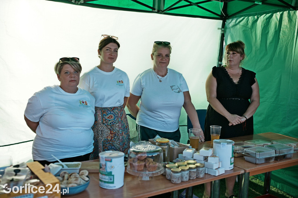 Piknik charytatywny dla Nikoli Woźniak - Sękowa (20.09.)
