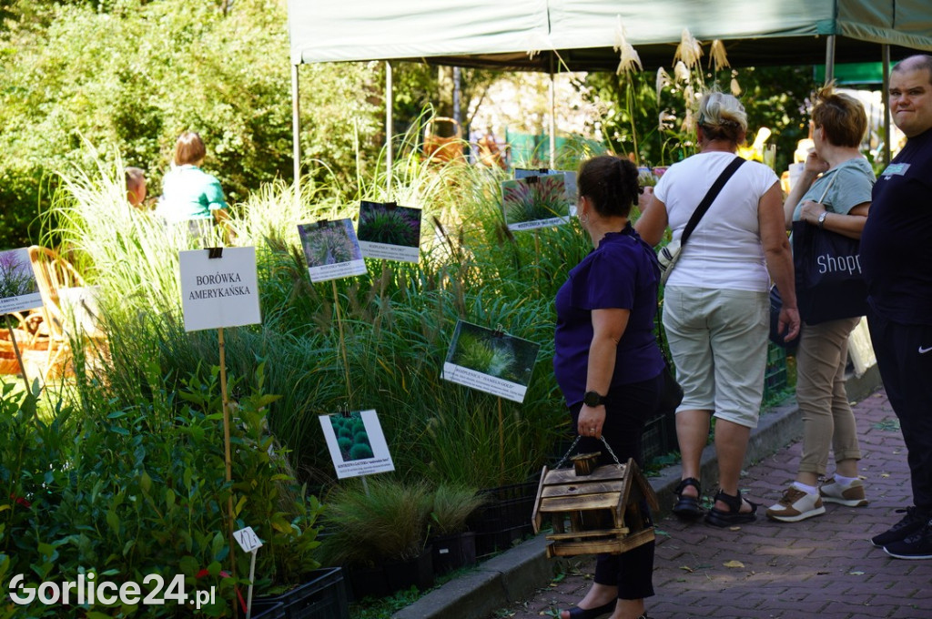 Agro Gorlice 2025 w Bystrej - niedziela (21.09.)