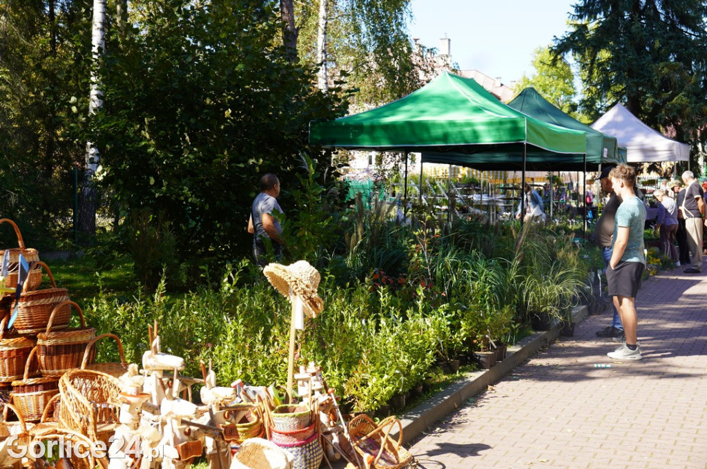 Agro Gorlice 2025 w Bystrej - niedziela (21.09.)