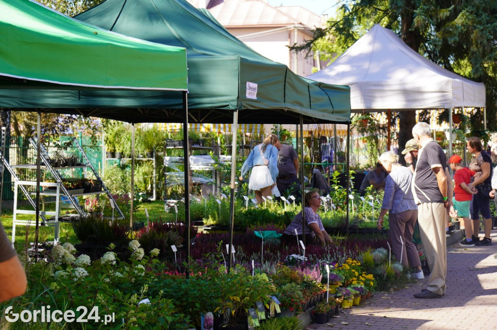 Agro Gorlice 2025 w Bystrej - niedziela (21.09.)