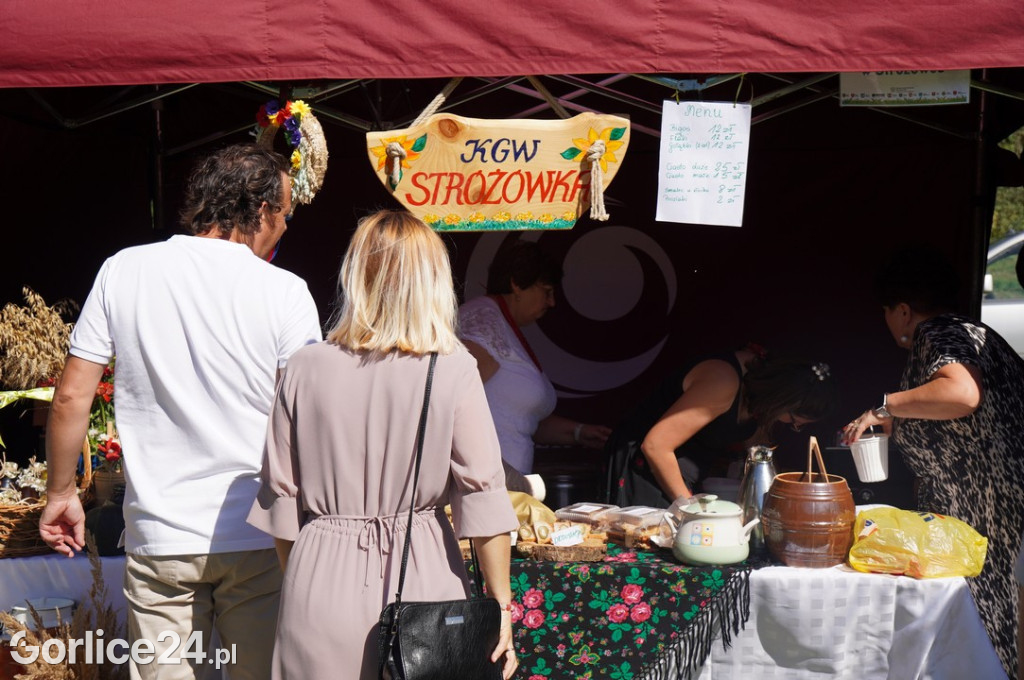 Agro Gorlice 2025 w Bystrej - niedziela (21.09.)