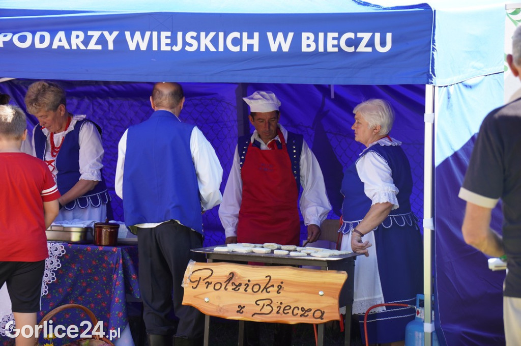 Agro Gorlice 2025 w Bystrej - niedziela (21.09.)