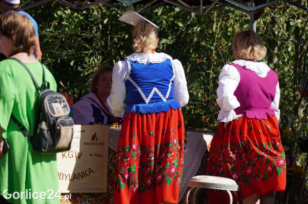 Agro Gorlice 2025 w Bystrej - niedziela (21.09.)