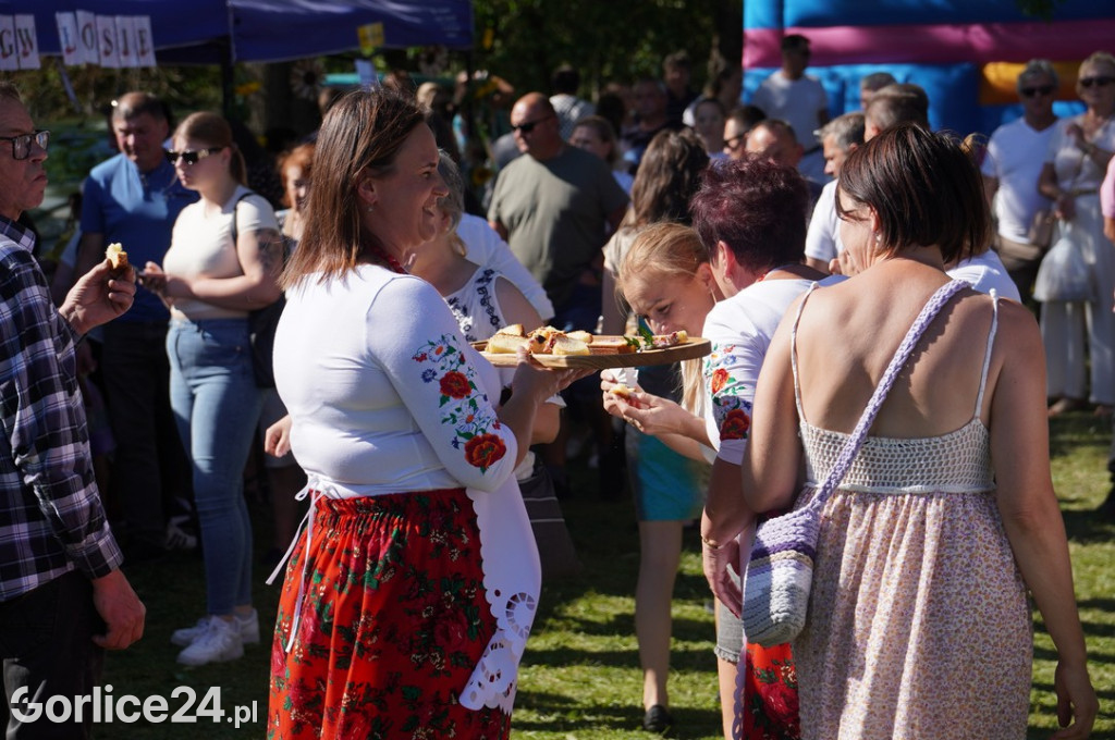 Agro Gorlice 2025 w Bystrej - niedziela (21.09.)