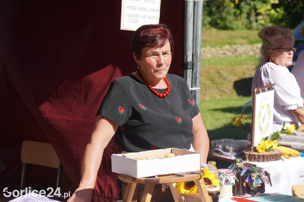 Agro Gorlice 2025 w Bystrej - niedziela (21.09.)