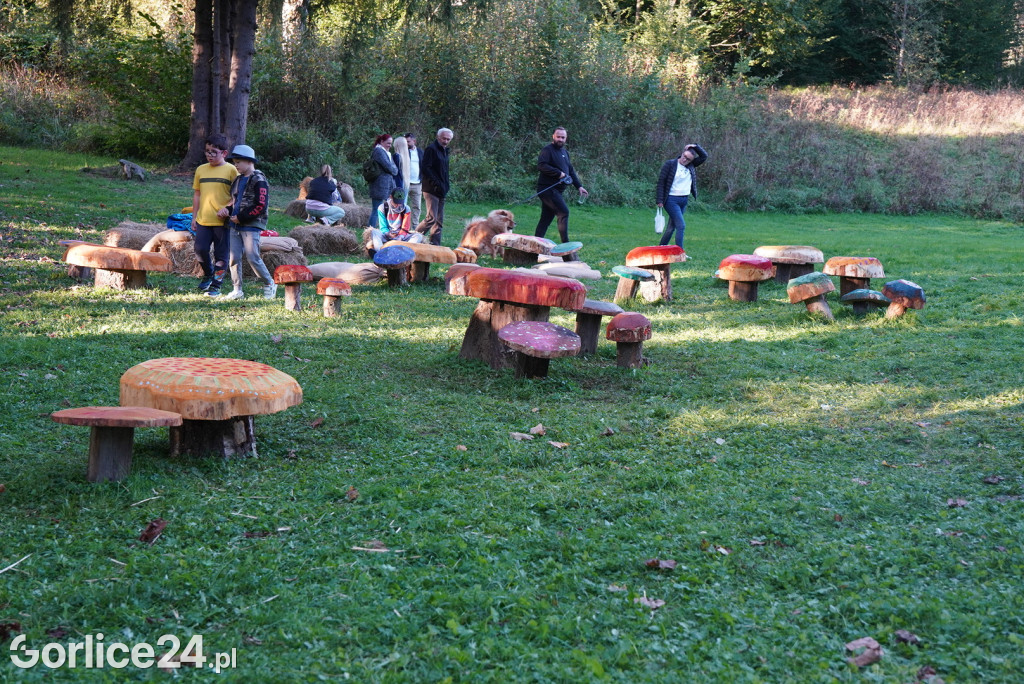 Rydzowa Jesień w Wysowej-Zdroju - sobota (27.09.)