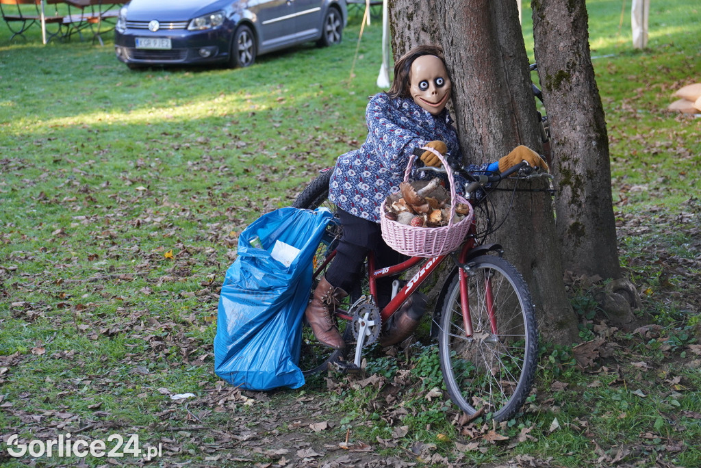Rydzowa Jesień w Wysowej-Zdroju - sobota (27.09.)