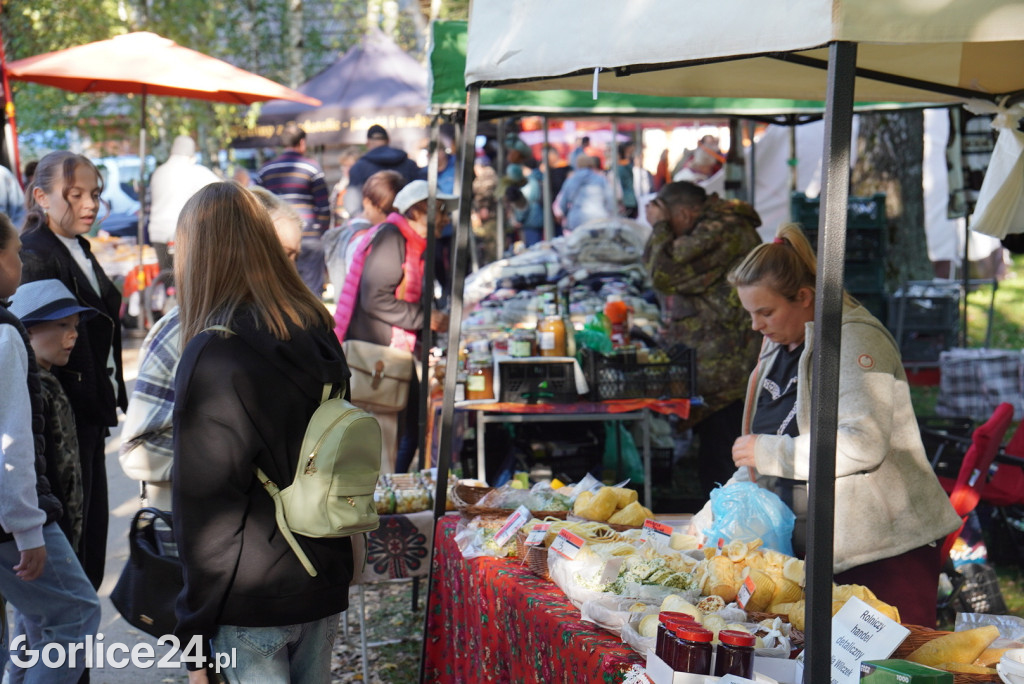 Rydzowa Jesień w Wysowej-Zdroju - sobota (27.09.)