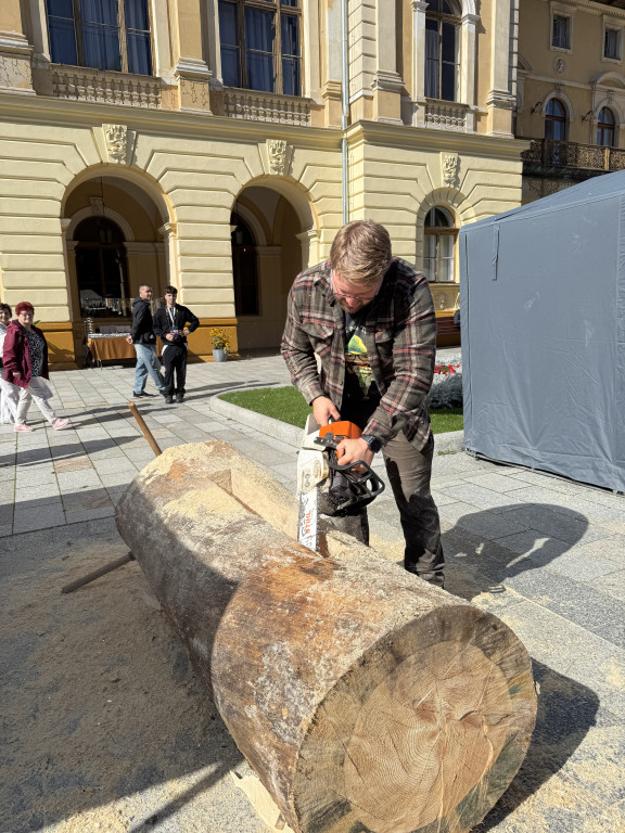Święto Rydza w Krynicy-Zdroju