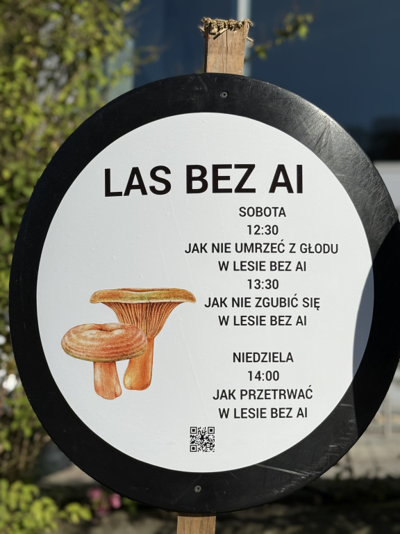 Święto Rydza w Krynicy-Zdroju