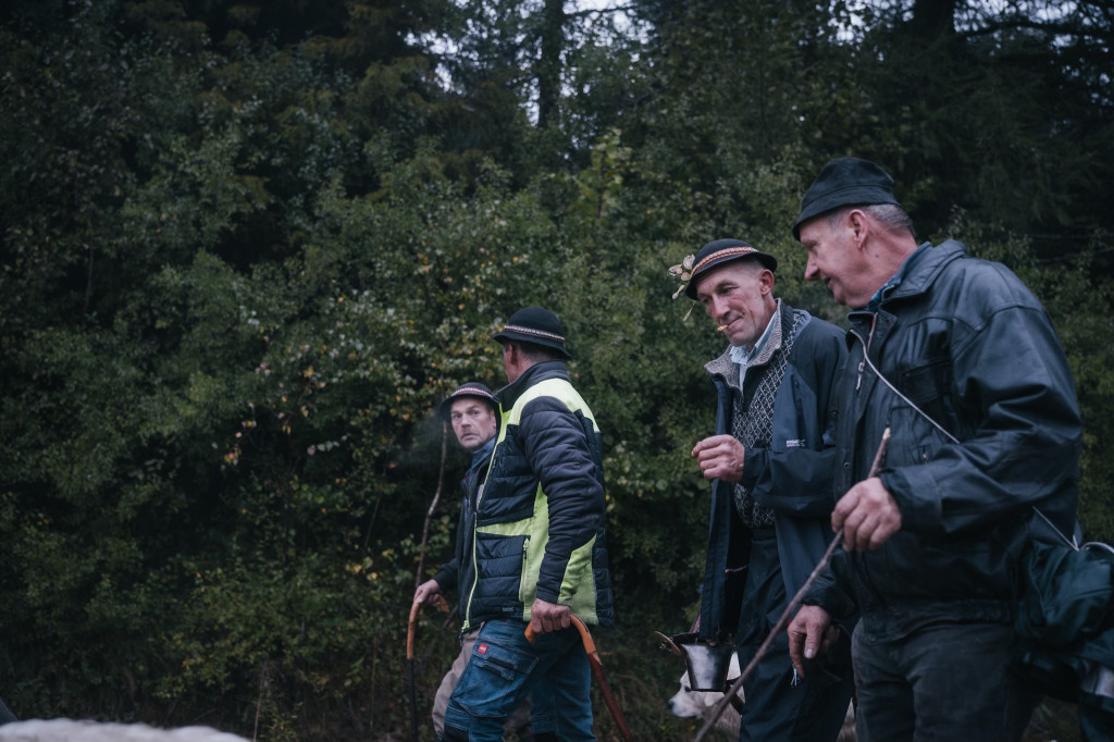 Karpacki redyk na zdjęciach projektu Beskid Bliski