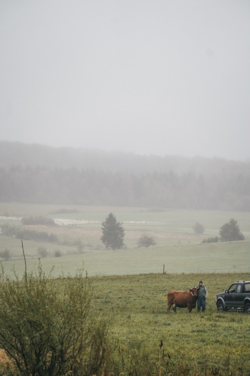 Karpacki redyk na zdjęciach projektu Beskid Bliski