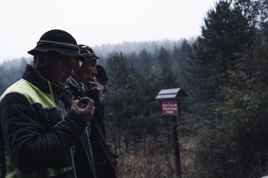 Karpacki redyk na zdjęciach projektu Beskid Bliski