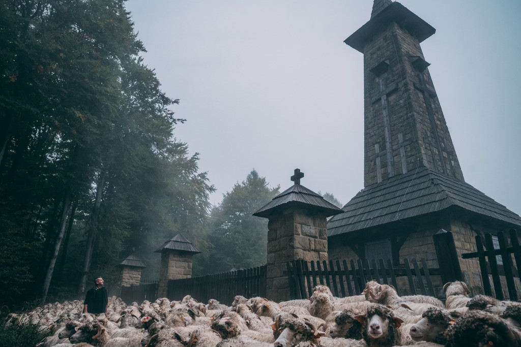 Karpacki redyk na zdjęciach projektu Beskid Bliski