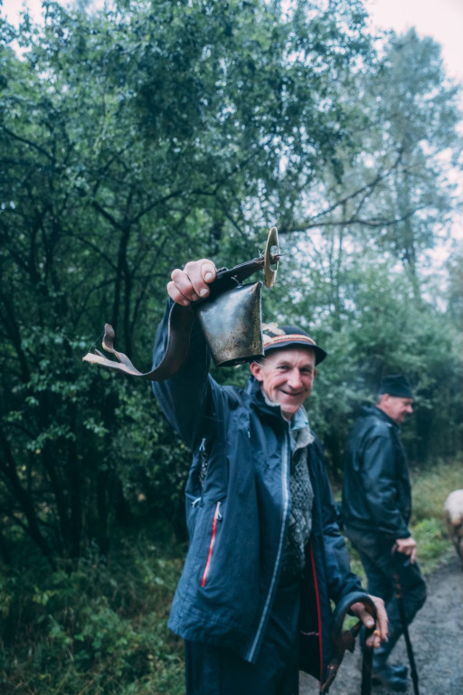 Karpacki redyk na zdjęciach projektu Beskid Bliski