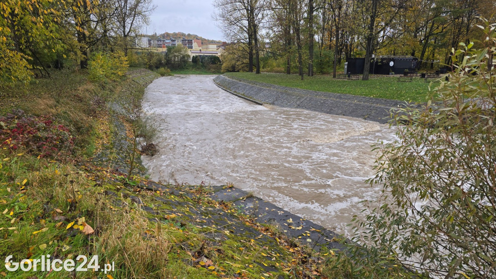 Wielka Sękówka po piątkowym deszczu (24.10.)