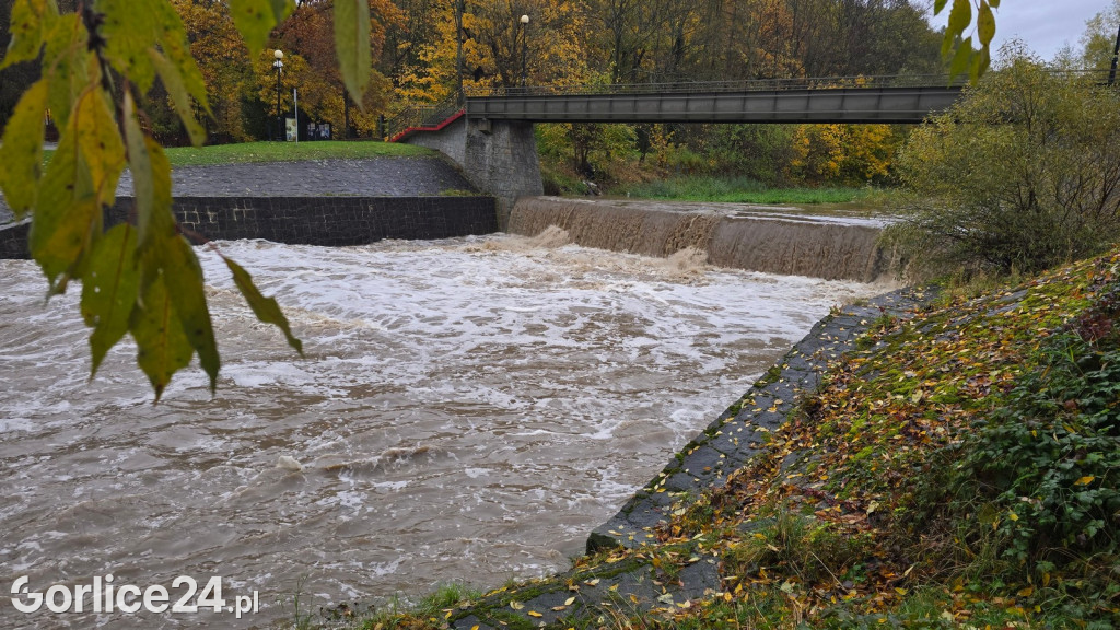 Wielka Sękówka po piątkowym deszczu (24.10.)