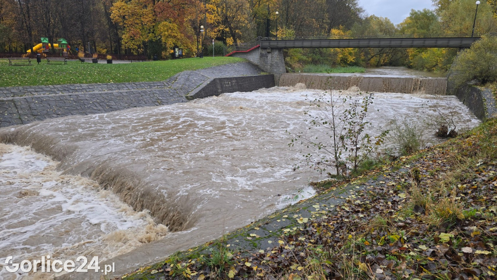 Wielka Sękówka po piątkowym deszczu (24.10.)