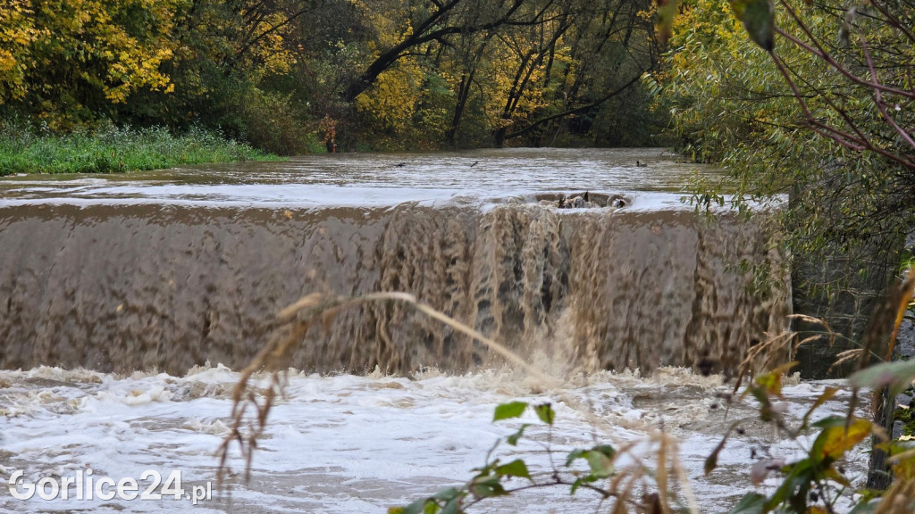 Wielka Sękówka po piątkowym deszczu (24.10.)