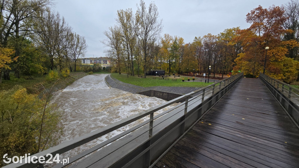 Wielka Sękówka po piątkowym deszczu (24.10.)