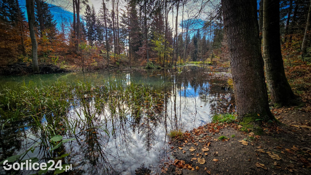 Beskidzkie Morskie Oko w Szymbarku