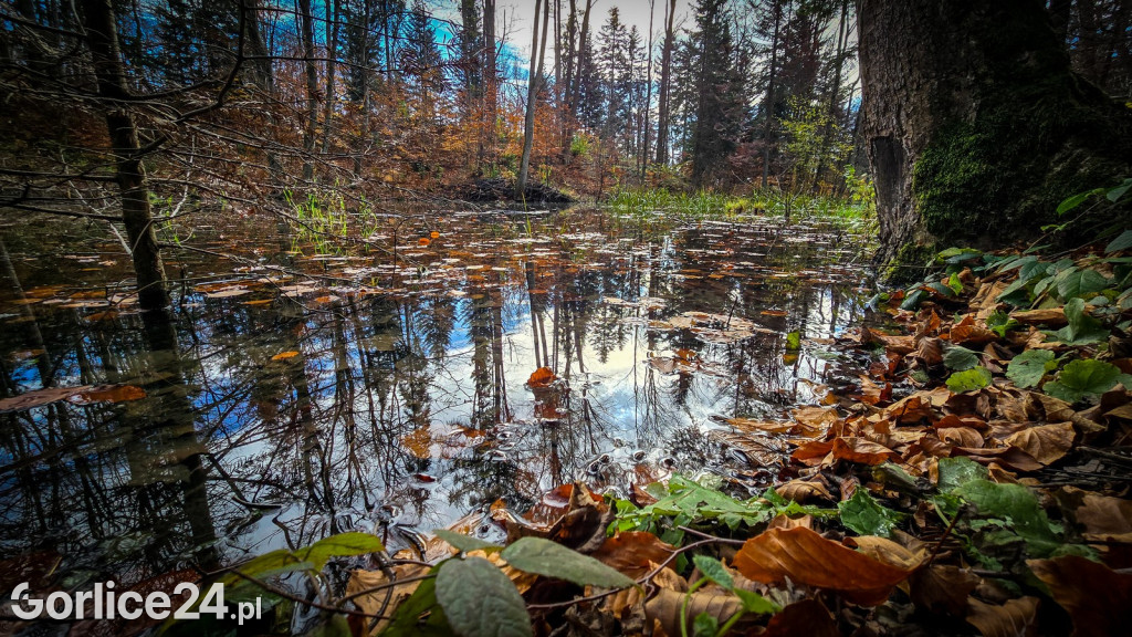 Beskidzkie Morskie Oko w Szymbarku
