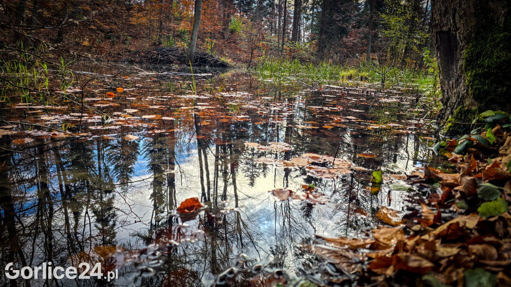 Beskidzkie Morskie Oko w Szymbarku