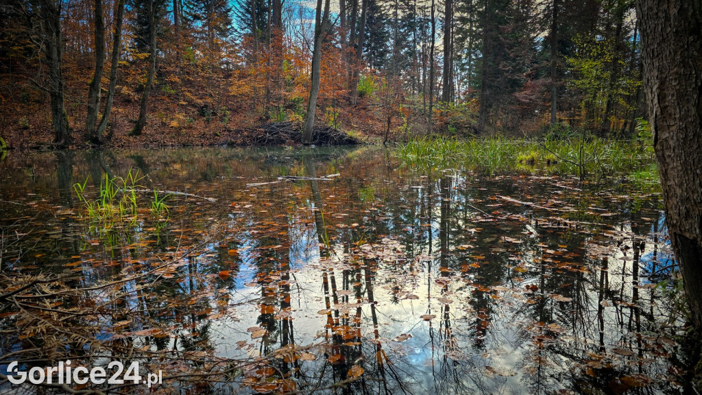 Beskidzkie Morskie Oko w Szymbarku