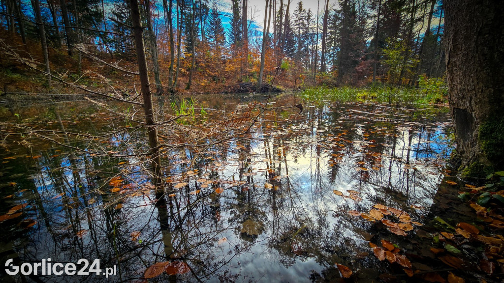 Beskidzkie Morskie Oko w Szymbarku