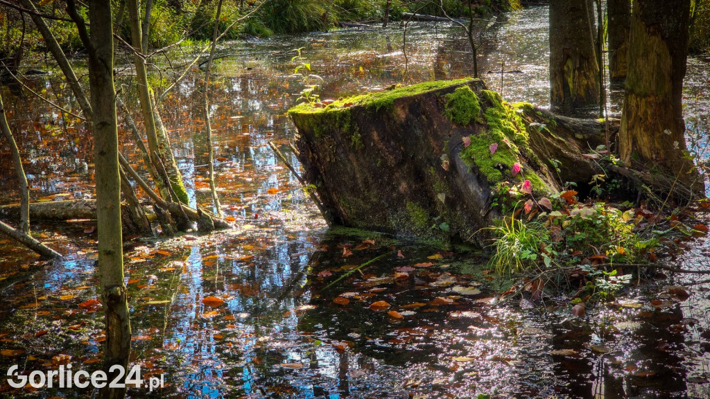 Beskidzkie Morskie Oko w Szymbarku