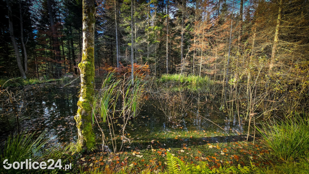 Beskidzkie Morskie Oko w Szymbarku