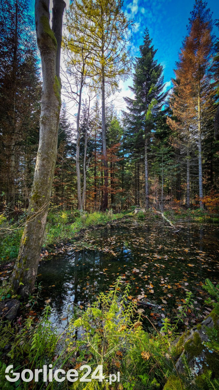 Beskidzkie Morskie Oko w Szymbarku