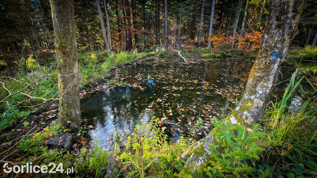 Beskidzkie Morskie Oko w Szymbarku