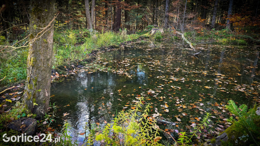 Beskidzkie Morskie Oko w Szymbarku