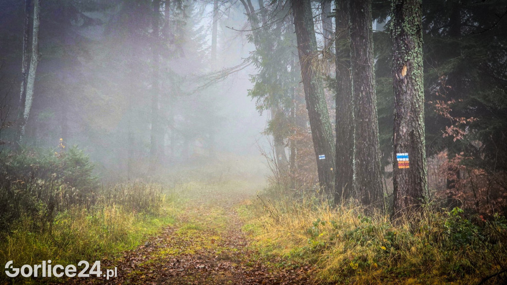 Wyburzanie schroniska na Magurze Małastowskiej (16.11.)