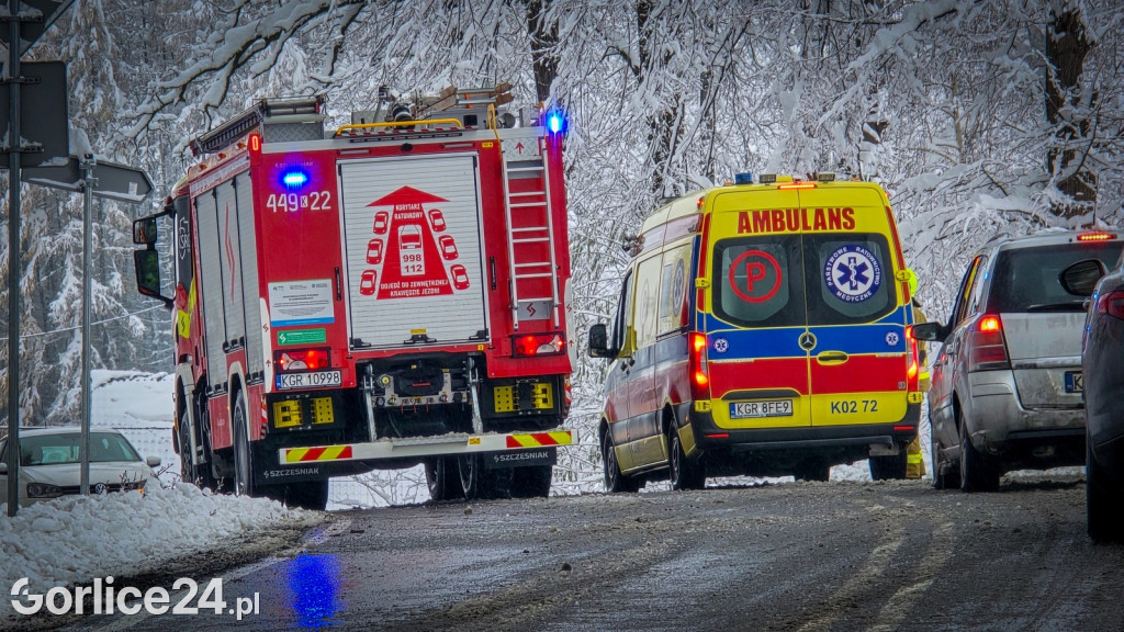 Gorlice. Akcje strażaków usuwania skutków śnieżycy (23.11.)